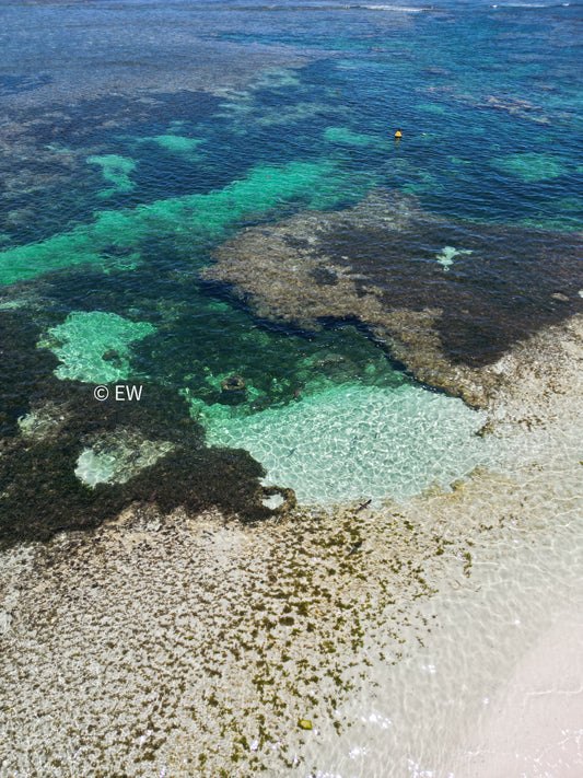 Lancelin Island, Western Australia