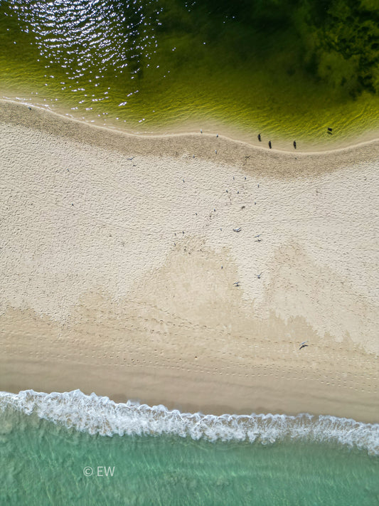 Moore River, Western Australia